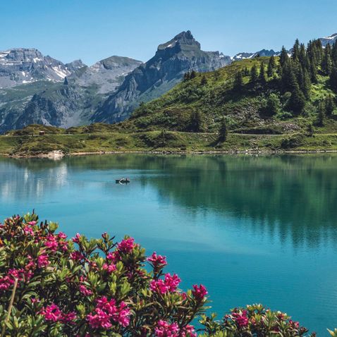 Österreich/Schweiz/Alpen