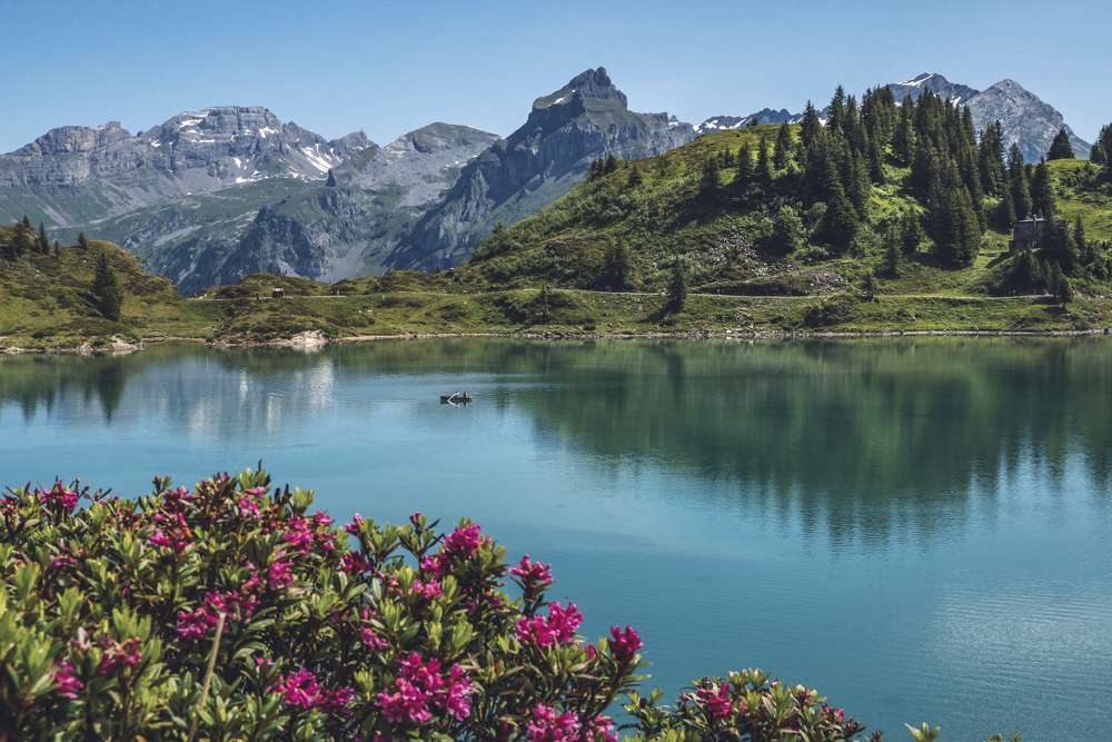 Österreich/Schweiz/Alpen